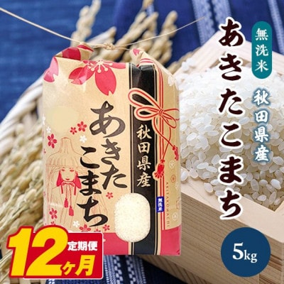 【毎月定期便】秋田県産あきたこまち無洗米5kg全12回