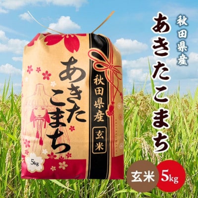 【毎月定期便】秋田県産あきたこまち 5kg(玄米)　全6回