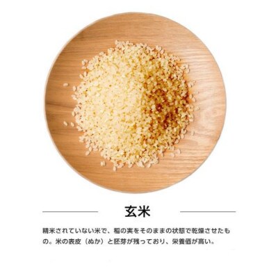 【毎月定期便】秋田県産あきたこまち 30kg(玄米)全6回