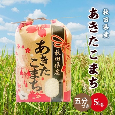 【毎月定期便】秋田県産あきたこまち 5kg(五分づき)全12回