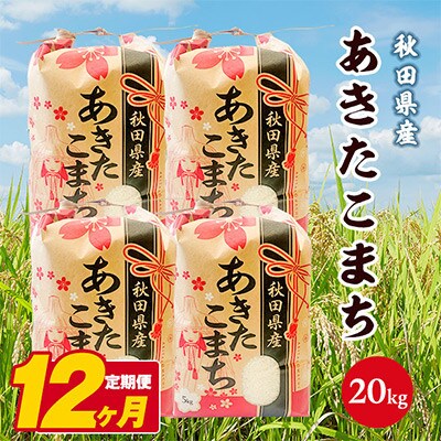 【毎月定期便】秋田県産あきたこまち 白米 20kg(5kg×4袋)　全12回
