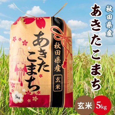 【毎月定期便】秋田県産あきたこまち 5kg(玄米)全12回