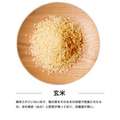 【毎月定期便】秋田県産あきたこまち 5kg(玄米)全12回