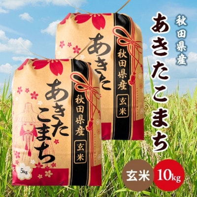 【毎月定期便】秋田県産あきたこまち 10kg(5kg×2袋)(玄米)全6回