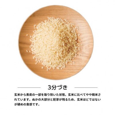【毎月定期便】秋田県産あきたこまち 10kg(5kg×2袋)(三分づき)全12回