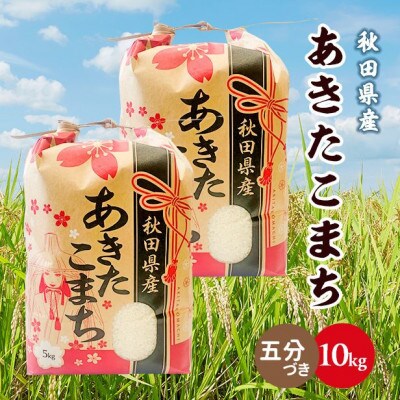 【毎月定期便】秋田県産あきたこまち 10kg(5kg×2袋)(五分づき)全12回