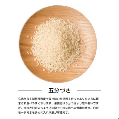【毎月定期便】秋田県産あきたこまち 10kg(5kg×2袋)(五分づき)全12回