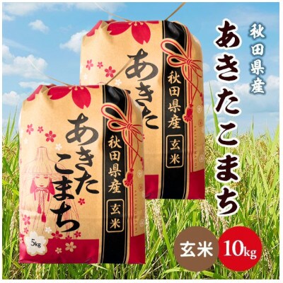 【毎月定期便】秋田県産あきたこまち 10kg(5kg×2袋)(玄米)全12回