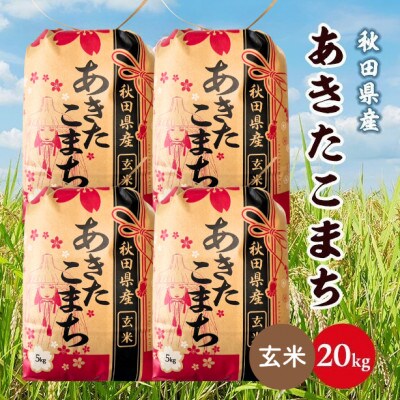 【毎月定期便】秋田県産あきたこまち 20kg(5kg×4袋)(玄米)　全12回