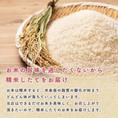【毎月定期便】秋田県産あきたこまち 27kg(三分づき)　全6回