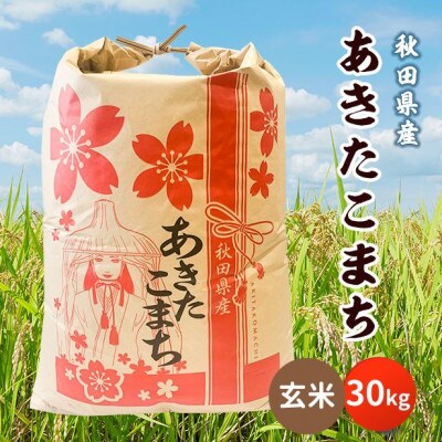 【毎月定期便】秋田県産あきたこまち 30kg(玄米)全6回