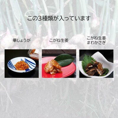 【秋田県産生姜使用】生姜の佃煮シリーズ!3種満喫セット