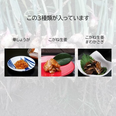 冷蔵便【秋田県産生姜使用】生姜の佃煮シリーズ!3種満喫セット