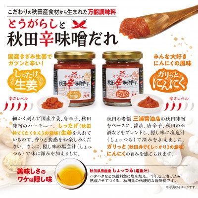 『とうがらしと秋田辛味噌だれ』 【しったげ生姜】【ガリっとにんにく】各1個セット(計2個)