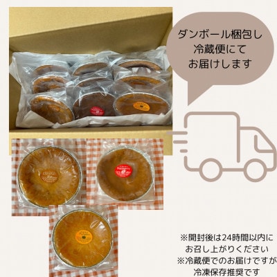 ベイクドチーズケーキ3種×3個セット