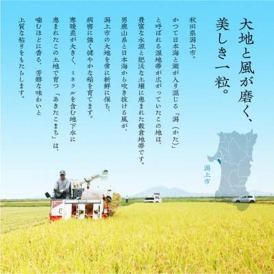 【ふるさと納税】米 令和7年産 秋田県産 あきたこまち 無洗米 10kg 人気【秋田のこまち農場】