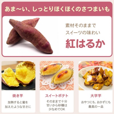 【訳あり】薩摩で育てたさつまいも(紅はるか)洗い 規格外 7kg ZS-923