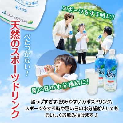 塩とカボス　495ml×24本_I02059