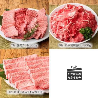 『定期便』宮崎牛たかはる定期便ハーフα(6回 奇数月発送)　特産品番号309