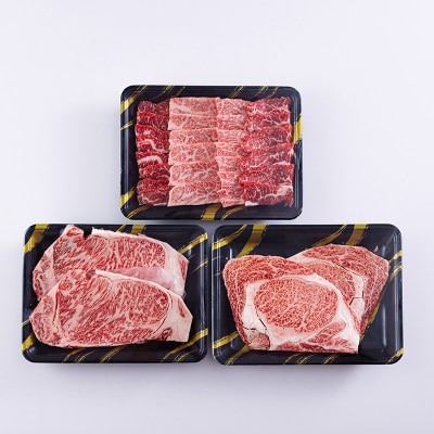 宮崎牛定期便[3ヶ月]ステーキ・焼肉 合計1200g　mi-684
