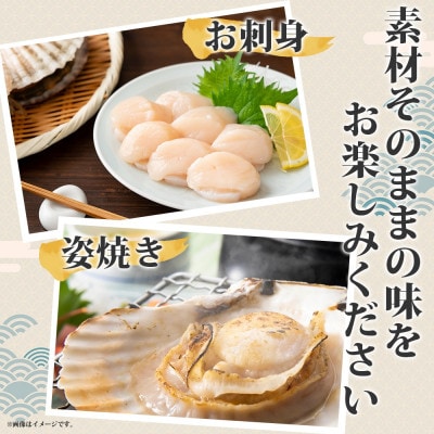 【2024年2月出荷!】約2kg!活ほたて2年貝(15枚～22枚)