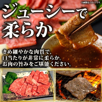 北海道 洞爺湖町産 黒毛和牛 焼肉用 120g×2パック 神内ファーム21 洞爺牧場 神内和牛