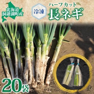 北海道産 洞爺湖近郊 長ねぎ 1/2本×20袋 小分け カット済 野菜 冷凍