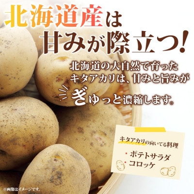 北海道産 洞爺湖近郊 じゃがいも きたあかり 100g×15袋 カット済 冷凍