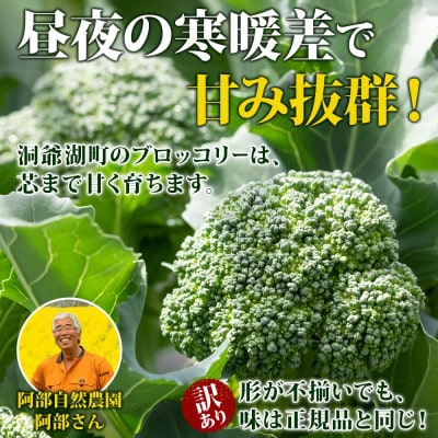 【訳あり】冷凍ブロッコリー 計1kg 国産 阿部自然農園 北海道 洞爺湖町