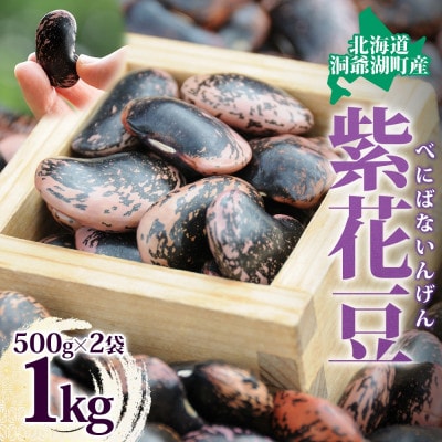 紫花豆 1kg 高級菜豆 洞爺湖町