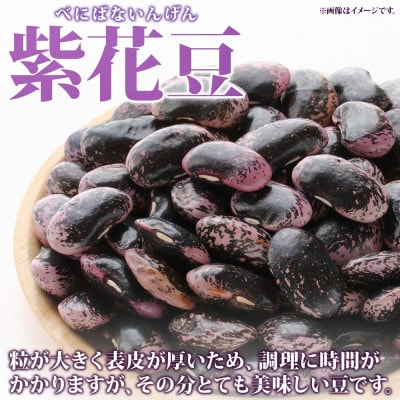 紫花豆 1kg 高級菜豆 洞爺湖町