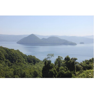 洞爺湖産・黄金のわかさぎ(22尾×4パック)