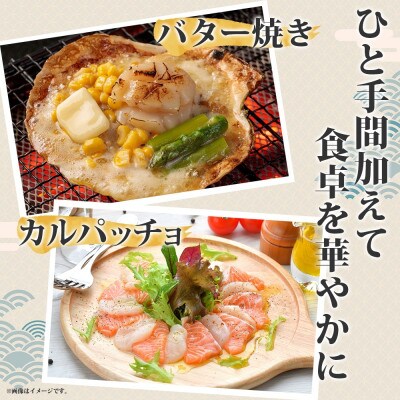 北海道産 活ほたて 2年貝 約2kg 15～22枚 2025年3月中旬～3月下旬ごろお届け 洞爺湖町