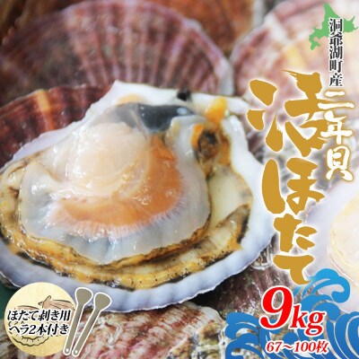 北海道産 活ほたて 2年貝 約9kg 67～100枚 2025年3月中旬～3月下旬頃お届け 洞爺湖町