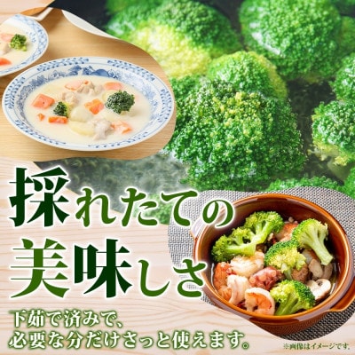 冷凍ブロッコリー 60g×8袋 北海道 洞爺湖町