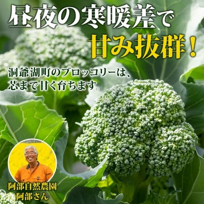 冷凍ブロッコリー 60g×8袋 北海道 洞爺湖町