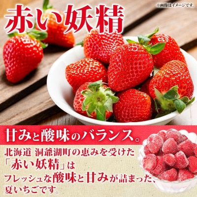 北海道産 いちご 赤い妖精 100g×6袋 冷凍