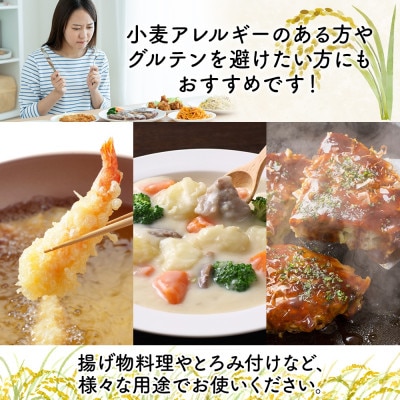 米粉 500g×2 ななつぼし100%使用 低農薬 グルテンフリー