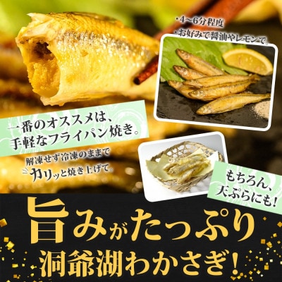 北海道 洞爺湖産 黄金のわかさぎ  18尾×2P 計36尾