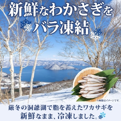 北海道 洞爺湖産 黄金のわかさぎ 18尾×4P 計72尾