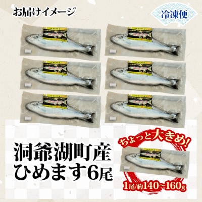 洞爺湖町産 ひめます 6尾 約140g～160g /1尾 ちょっと大きめサイズ