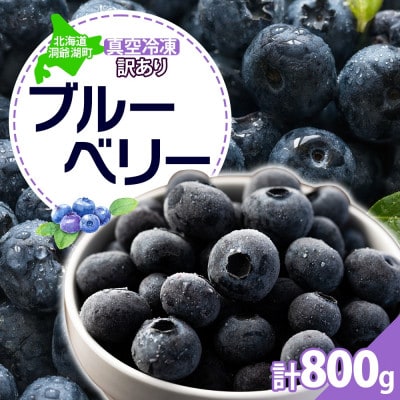 北海道 訳あり ブルーベリー 400g×2袋