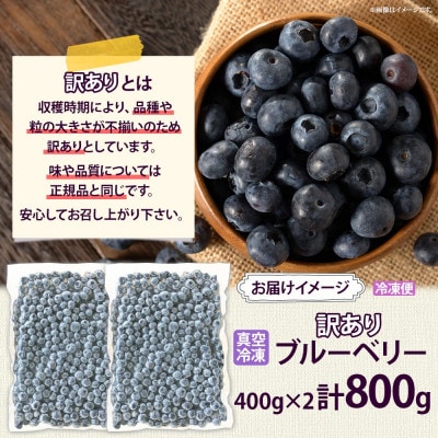 北海道 訳あり ブルーベリー 400g×2袋