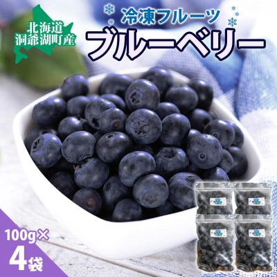 北海道産 ブルーベリー 100g×4袋
