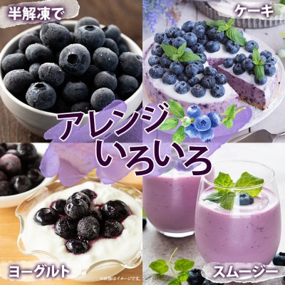 北海道産 ブルーベリー 100g×4袋