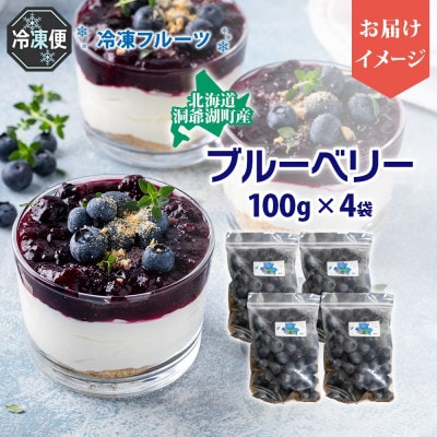 北海道産 ブルーベリー 100g×4袋