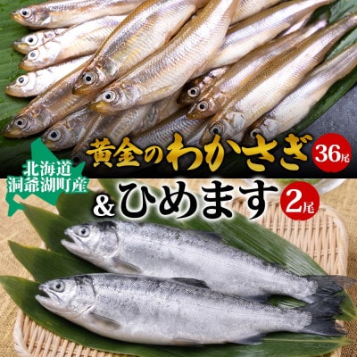 洞爺湖産 わかさぎ 18尾入り×2P 北海道産 ひめます 2尾(約120～140g/1尾) セット