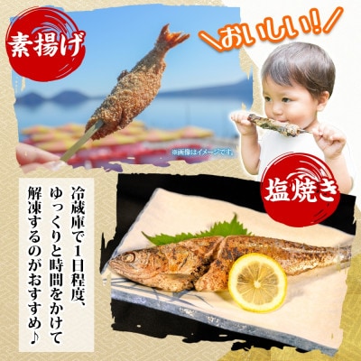 洞爺湖町産 ひめます 6尾 約120g～140g /1尾