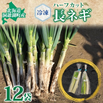 北海道産 洞爺湖近郊 長ねぎ 1/2本×12袋 小分け カット済
