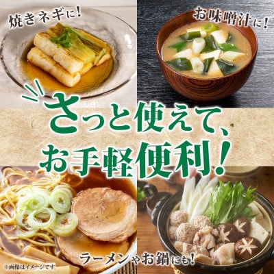 北海道産 洞爺湖近郊 長ねぎ 1/2本×12袋 小分け カット済
